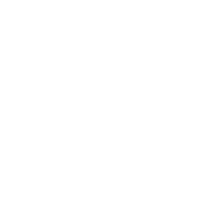 Strategic Partner